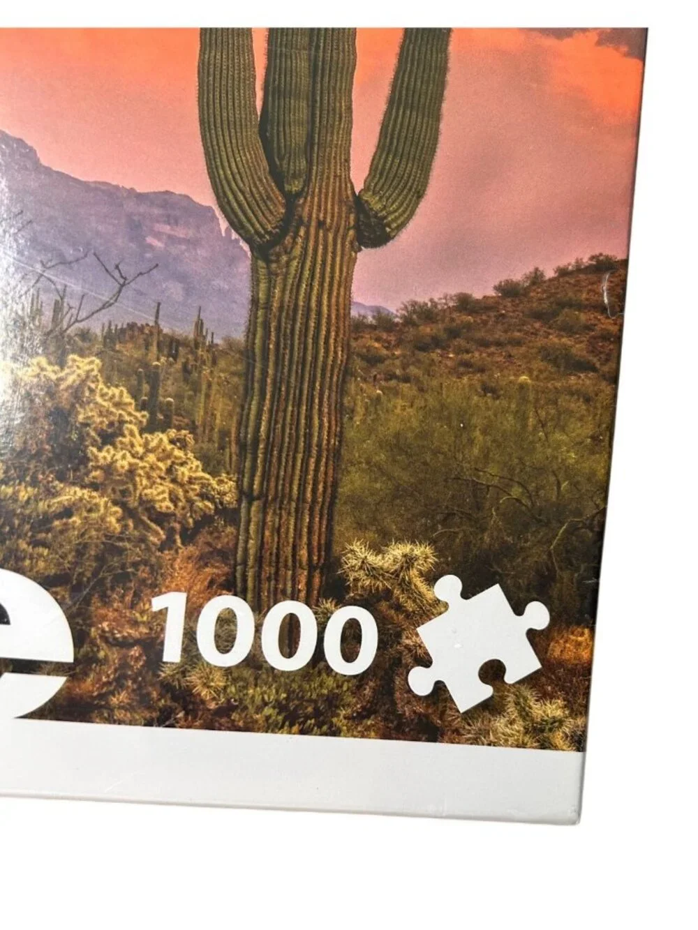 NEW Seesaw Sunset Cactus 1000-Piece Puzzle 18.9